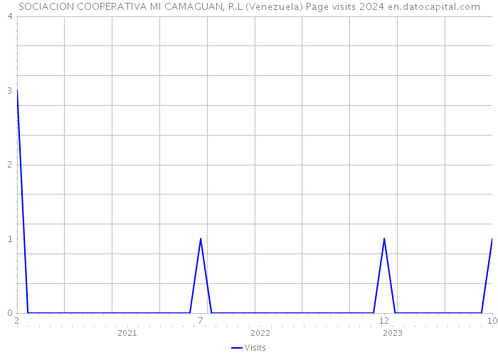 SOCIACION COOPERATIVA MI CAMAGUAN, R.L (Venezuela) Page visits 2024 