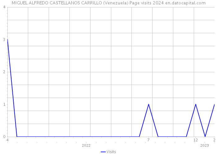 MIGUEL ALFREDO CASTELLANOS CARRILLO (Venezuela) Page visits 2024 