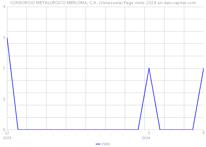 CONSORCIO METALURGICO MERLOMA, C.A. (Venezuela) Page visits 2024 