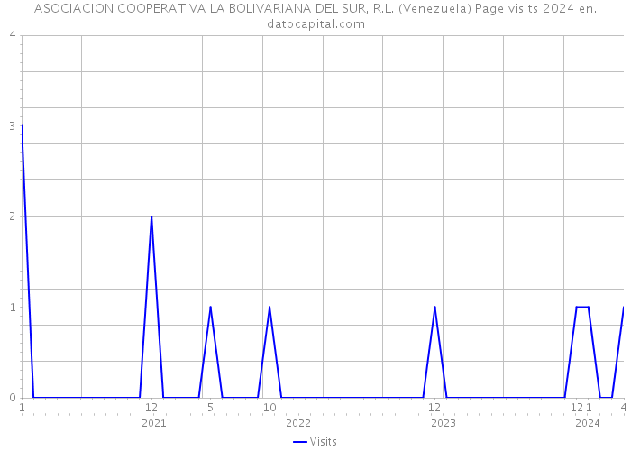 ASOCIACION COOPERATIVA LA BOLIVARIANA DEL SUR, R.L. (Venezuela) Page visits 2024 