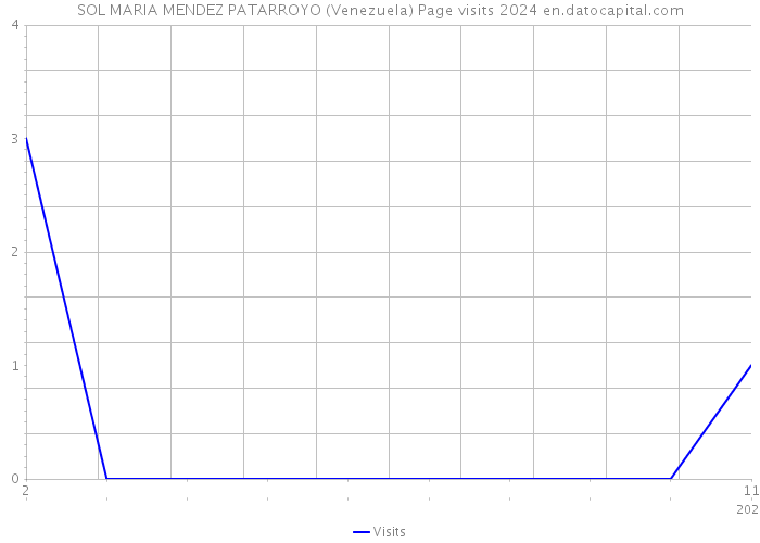 SOL MARIA MENDEZ PATARROYO (Venezuela) Page visits 2024 