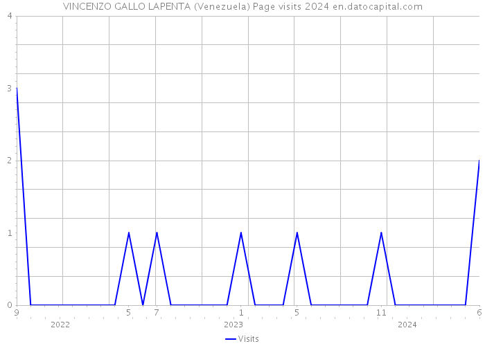 VINCENZO GALLO LAPENTA (Venezuela) Page visits 2024 