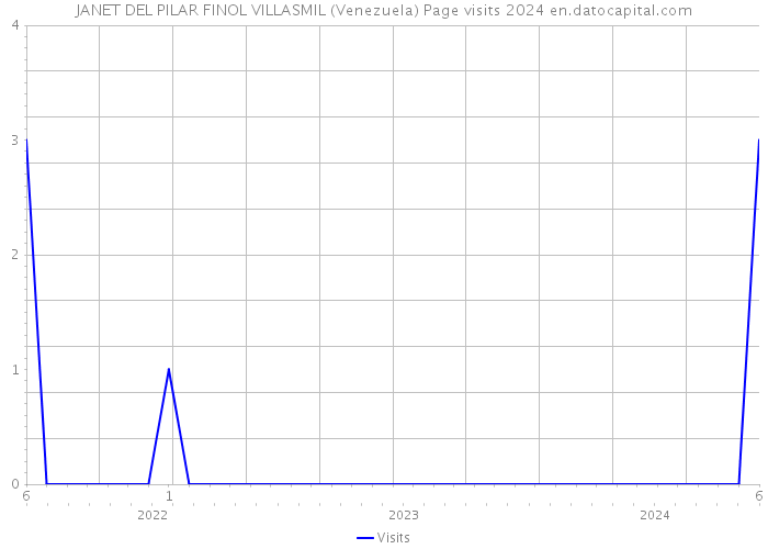 JANET DEL PILAR FINOL VILLASMIL (Venezuela) Page visits 2024 