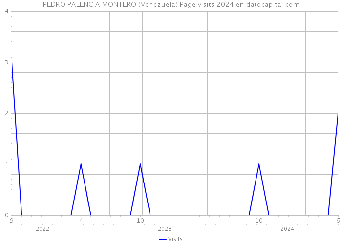 PEDRO PALENCIA MONTERO (Venezuela) Page visits 2024 
