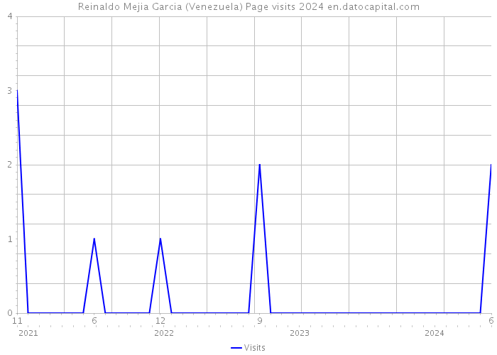 Reinaldo Mejia Garcia (Venezuela) Page visits 2024 