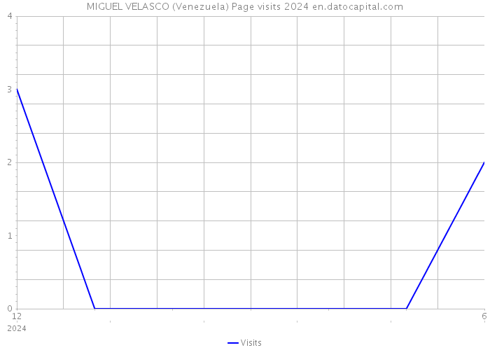 MIGUEL VELASCO (Venezuela) Page visits 2024 