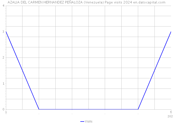 AZALIA DEL CARMEN HERNANDEZ PEÑALOZA (Venezuela) Page visits 2024 