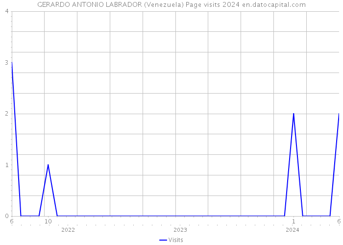 GERARDO ANTONIO LABRADOR (Venezuela) Page visits 2024 