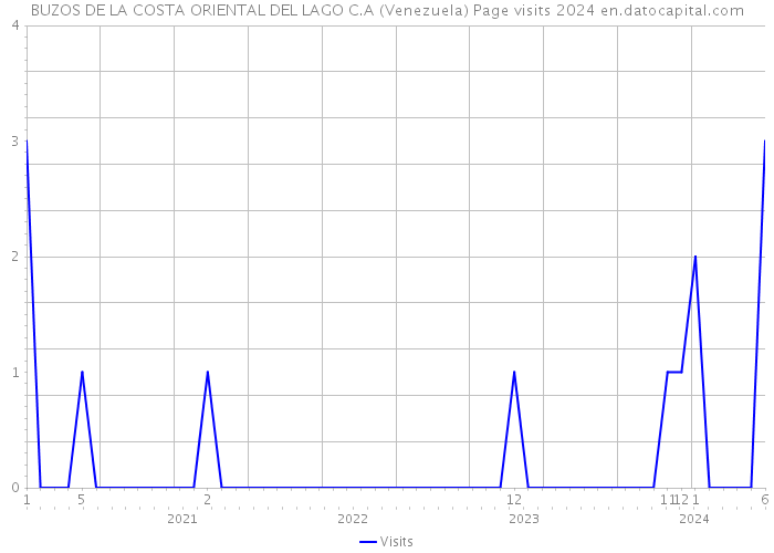BUZOS DE LA COSTA ORIENTAL DEL LAGO C.A (Venezuela) Page visits 2024 
