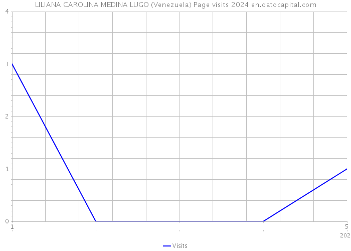 LILIANA CAROLINA MEDINA LUGO (Venezuela) Page visits 2024 