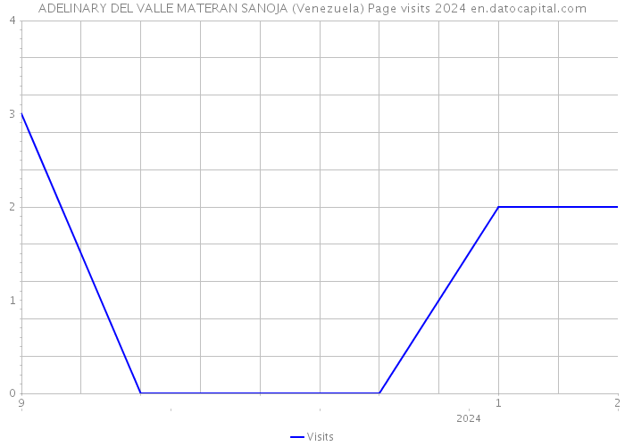 ADELINARY DEL VALLE MATERAN SANOJA (Venezuela) Page visits 2024 