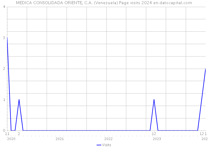 MEDICA CONSOLIDADA ORIENTE, C.A. (Venezuela) Page visits 2024 