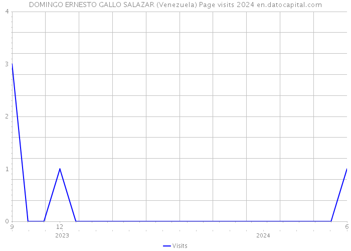 DOMINGO ERNESTO GALLO SALAZAR (Venezuela) Page visits 2024 