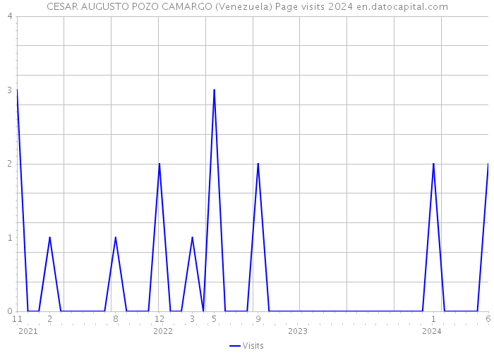 CESAR AUGUSTO POZO CAMARGO (Venezuela) Page visits 2024 