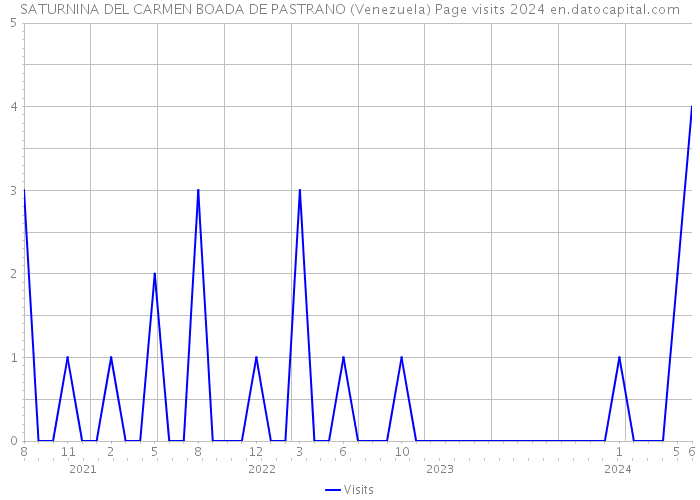 SATURNINA DEL CARMEN BOADA DE PASTRANO (Venezuela) Page visits 2024 
