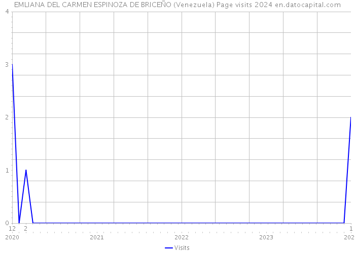 EMLIANA DEL CARMEN ESPINOZA DE BRICEÑO (Venezuela) Page visits 2024 