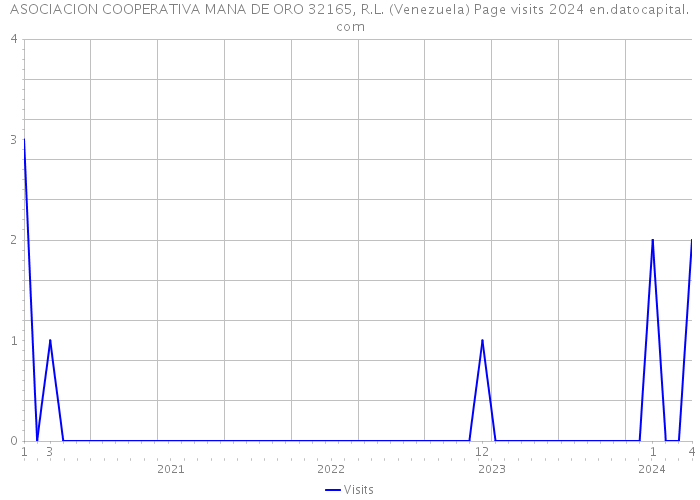 ASOCIACION COOPERATIVA MANA DE ORO 32165, R.L. (Venezuela) Page visits 2024 