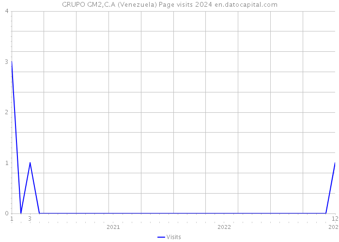 GRUPO GM2,C.A (Venezuela) Page visits 2024 