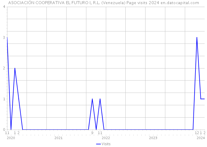 ASOCIACIÓN COOPERATIVA EL FUTURO I, R.L. (Venezuela) Page visits 2024 