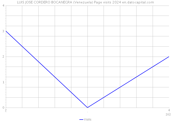 LUIS JOSE CORDERO BOCANEGRA (Venezuela) Page visits 2024 