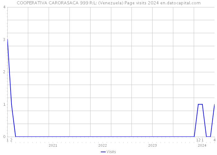 COOPERATIVA CARORASACA 999 R:L: (Venezuela) Page visits 2024 