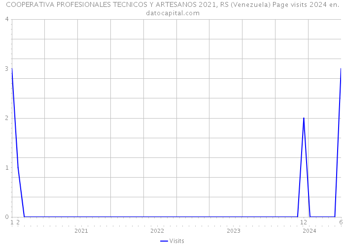 COOPERATIVA PROFESIONALES TECNICOS Y ARTESANOS 2021, RS (Venezuela) Page visits 2024 