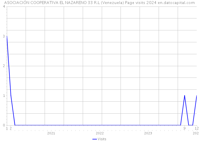 ASOCIACIÓN COOPERATIVA EL NAZARENO 33 R.L (Venezuela) Page visits 2024 
