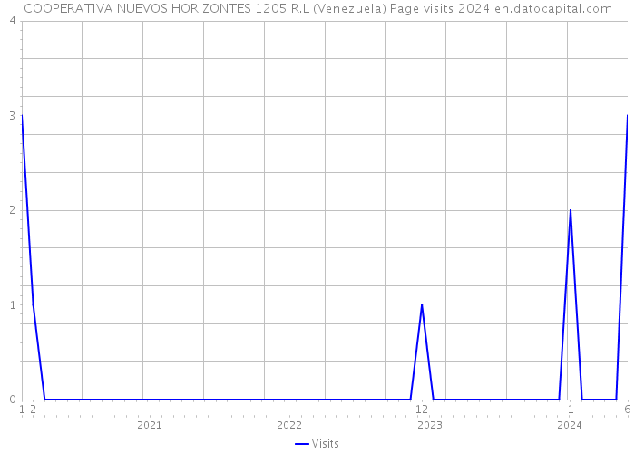 COOPERATIVA NUEVOS HORIZONTES 1205 R.L (Venezuela) Page visits 2024 