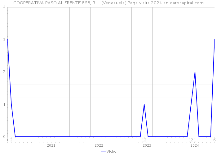 COOPERATIVA PASO AL FRENTE 868, R.L. (Venezuela) Page visits 2024 