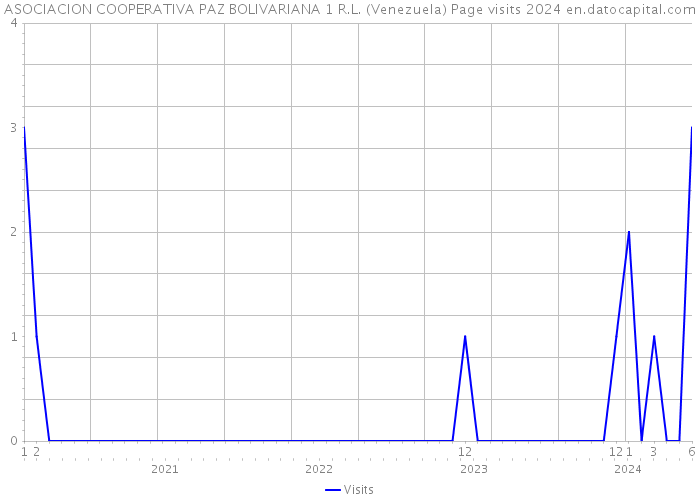ASOCIACION COOPERATIVA PAZ BOLIVARIANA 1 R.L. (Venezuela) Page visits 2024 