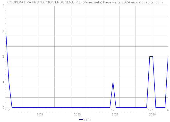 COOPERATIVA PROYECCION ENDOGENA, R.L. (Venezuela) Page visits 2024 
