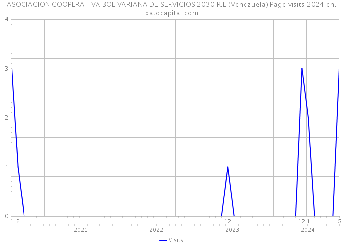 ASOCIACION COOPERATIVA BOLIVARIANA DE SERVICIOS 2030 R.L (Venezuela) Page visits 2024 