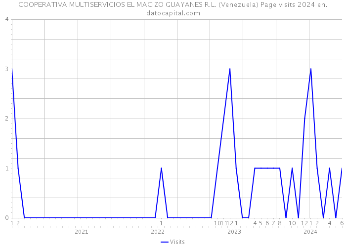 COOPERATIVA MULTISERVICIOS EL MACIZO GUAYANES R.L. (Venezuela) Page visits 2024 