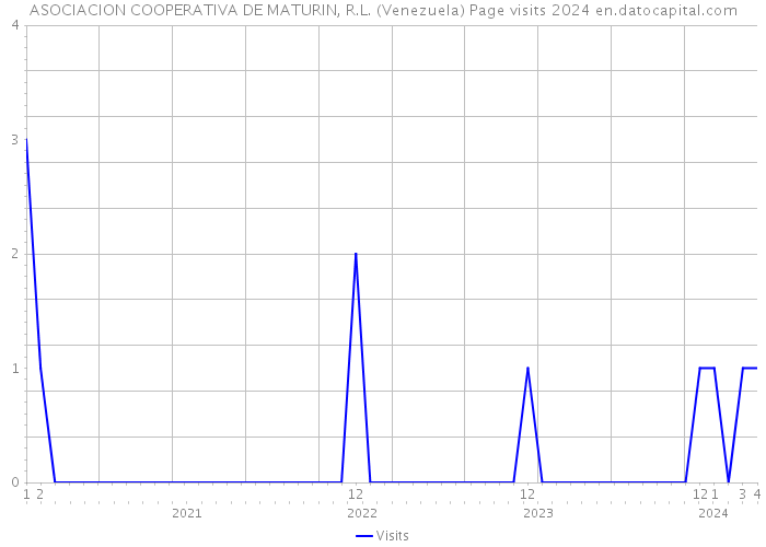ASOCIACION COOPERATIVA DE MATURIN, R.L. (Venezuela) Page visits 2024 