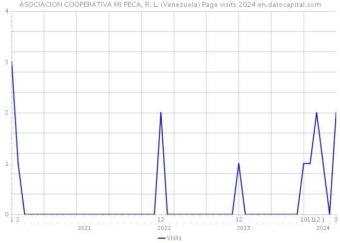 ASOCIACION COOPERATIVA MI PECA, R. L. (Venezuela) Page visits 2024 