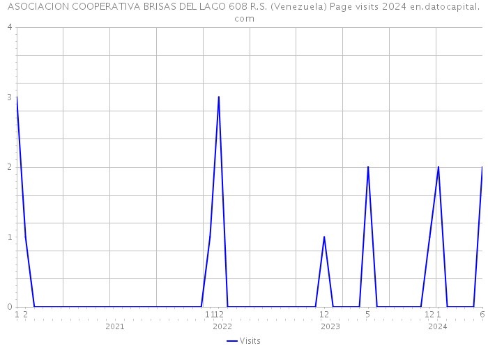 ASOCIACION COOPERATIVA BRISAS DEL LAGO 608 R.S. (Venezuela) Page visits 2024 