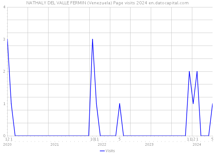NATHALY DEL VALLE FERMIN (Venezuela) Page visits 2024 