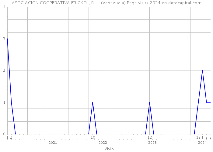 ASOCIACION COOPERATIVA ERICKOL, R..L. (Venezuela) Page visits 2024 