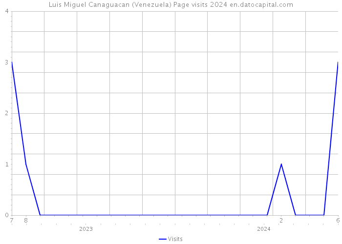 Luis Miguel Canaguacan (Venezuela) Page visits 2024 
