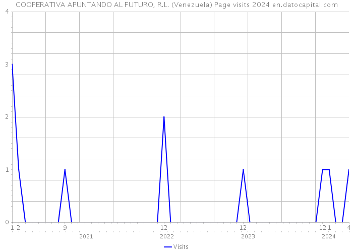 COOPERATIVA APUNTANDO AL FUTURO, R.L. (Venezuela) Page visits 2024 