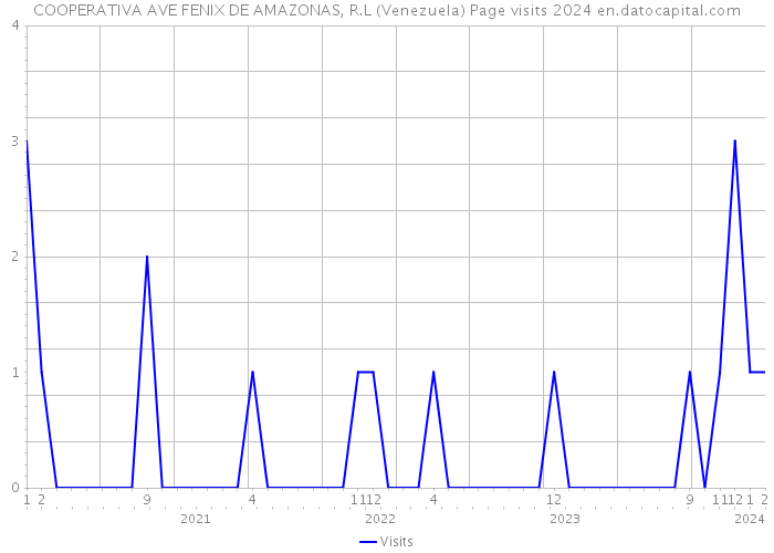 COOPERATIVA AVE FENIX DE AMAZONAS, R.L (Venezuela) Page visits 2024 