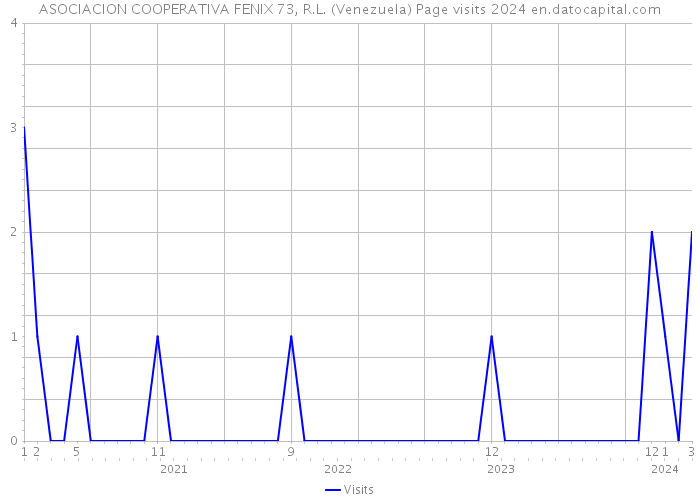 ASOCIACION COOPERATIVA FENIX 73, R.L. (Venezuela) Page visits 2024 
