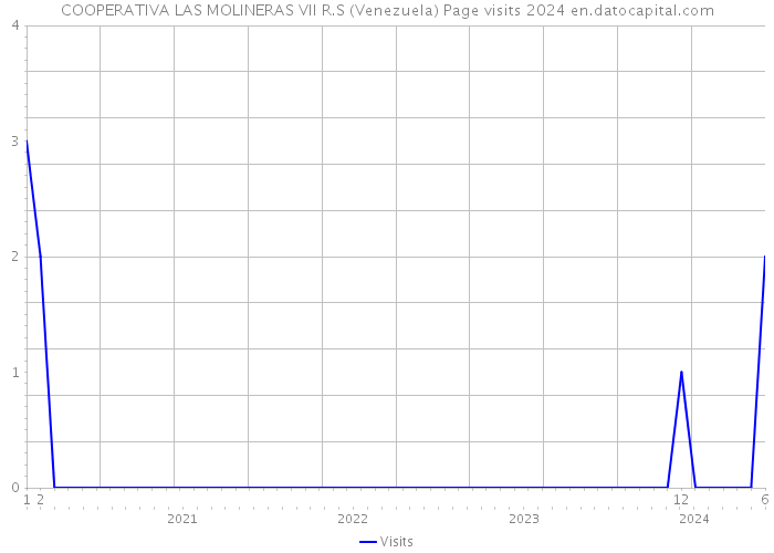 COOPERATIVA LAS MOLINERAS VII R.S (Venezuela) Page visits 2024 
