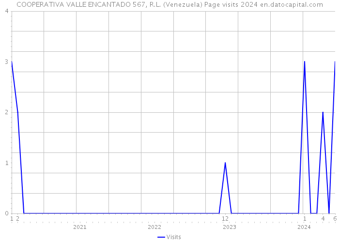 COOPERATIVA VALLE ENCANTADO 567, R.L. (Venezuela) Page visits 2024 