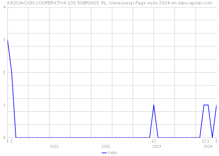 ASOCIACION COOPERATIVA LOS SOBRINOS RL. (Venezuela) Page visits 2024 