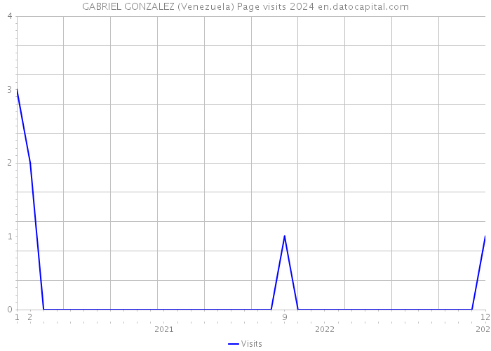 GABRIEL GONZALEZ (Venezuela) Page visits 2024 