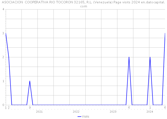 ASOCIACION COOPERATIVA RIO TOCORON 32165, R.L. (Venezuela) Page visits 2024 