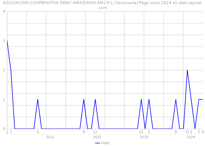 ASOCIACION COOPERATIVA FENIX AMAZONAS AM2 R.L (Venezuela) Page visits 2024 