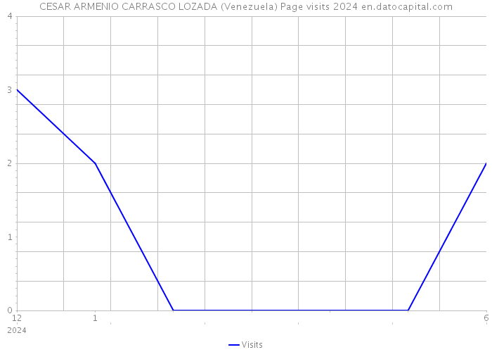 CESAR ARMENIO CARRASCO LOZADA (Venezuela) Page visits 2024 