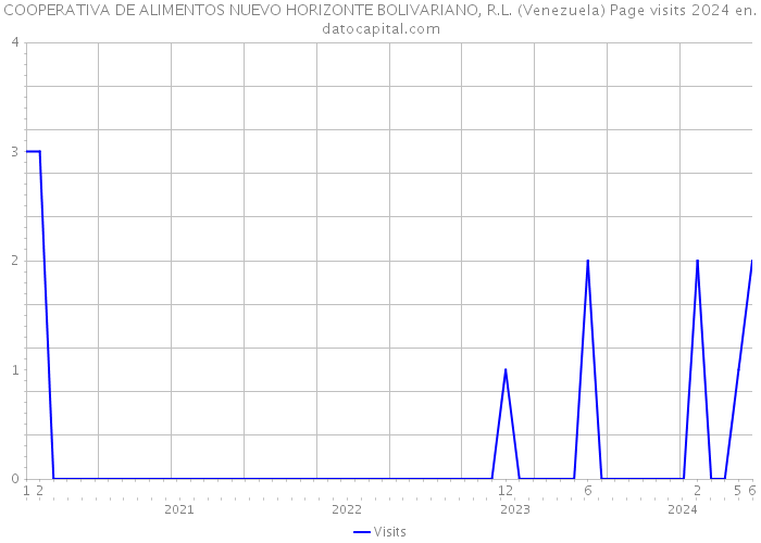 COOPERATIVA DE ALIMENTOS NUEVO HORIZONTE BOLIVARIANO, R.L. (Venezuela) Page visits 2024 